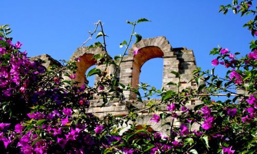 Zdjecie TUNEZJA / El Jem / Kloseum / El Jem