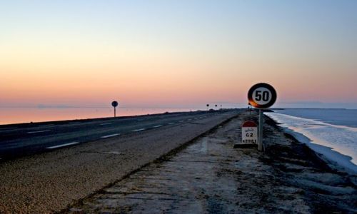 Zdjęcie TUNEZJA / Sahara / Szatt al Dżarid / Droga