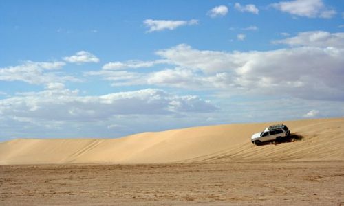 Zdjecie TUNEZJA / Sahara / W okolicach Tataouine / Jeep