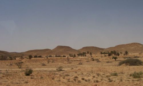 Zdj�cie TUNEZJA / Sahara / w drodze do oazy / b.t
