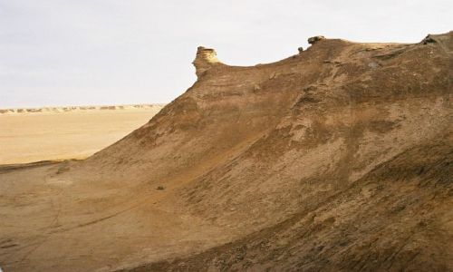 Zdjęcie TUNEZJA / Sahara / okolice Kebili / Sahara