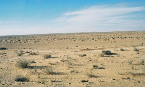Zdjęcie TUNEZJA / Sahara / w drodze do Douz / Sahara