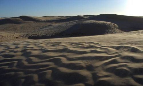 Zdjecie TUNEZJA / Sahara / okolice Douz / Sahara