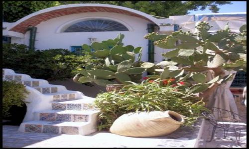 Zdjecie TUNEZJA / brak / Sidi Bou Said / Sidi Bou Said