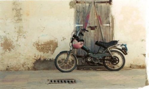 Zdjecie TUNEZJA / brak / Djerba / Rumak3