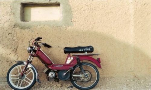 Zdjęcie TUNEZJA / brak / Djerba / Rumak4
