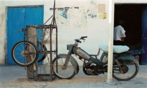 Zdjęcie TUNEZJA / brak / Djerba / Rumak5