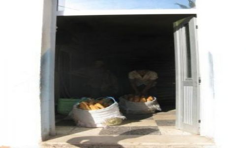 Zdjecie TUNEZJA / - / Sousse / Piekarnia w medynie
