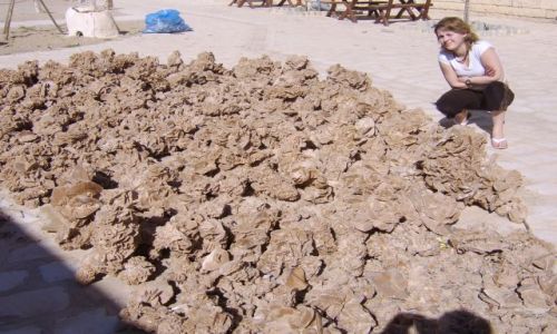 Zdjęcie TUNEZJA / Hamamed / Hamamed / Różą pustyni