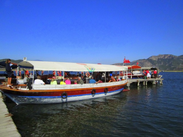 Zdj cia: przy plaży Iztuzu, Wybrzeże Egejskie, Przystanek przy ujściu (do artykułu), TURCJA Zdj cia: przy plaży Iztuzu, Wybrzeże Egejskie, Przystanek przy ujściu (do artykułu), TURCJA