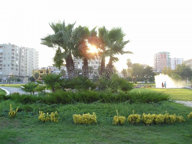 Zdjęcia: Adana, południowa Turcja, tureckie palmy;), TURCJA Zdjęcia: Adana, południowa Turcja, tureckie palmy;), TURCJA