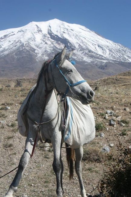 Zdjęcia: Ararat, Dogubayazit, Po drodze na Ararat, TURCJA Zdjęcia: Ararat, Dogubayazit, Po drodze na Ararat, TURCJA