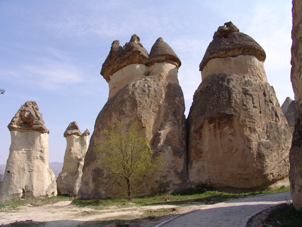 Zdjęcia: ‎ Göreme, Kapadocja, W Kapadocji obrodziły, TURCJA Zdjęcia: ‎ Göreme, Kapadocja, W Kapadocji obrodziły, TURCJA
