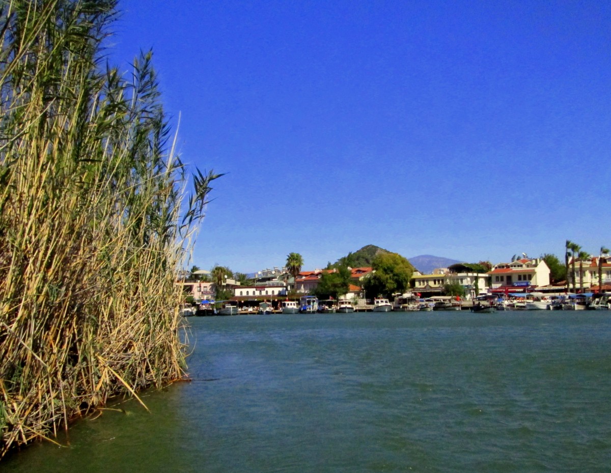 Zdjęcia: na rzece Dalyan, Wybrzeże Egejskie, Wysokie trzciny, TURCJA Zdjęcia: na rzece Dalyan, Wybrzeże Egejskie, Wysokie trzciny, TURCJA