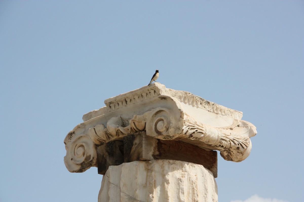 Zdjęcia: Hierapolis, Anatolia, Ptaszek ..., TURCJA Zdjęcia: Hierapolis, Anatolia, Ptaszek ..., TURCJA