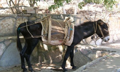 Zdjecie TURCJA / Fethiye. / Fethiye. / osioek ;)