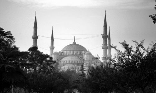 Zdjęcie TURCJA / brak / Istanbul / pajęczyna