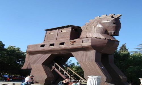 Zdjęcie TURCJA / Troja / Troja / Konik