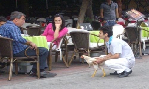 Zdjecie TURCJA / - / Alanya / Czas na obiad! Podoba si?
