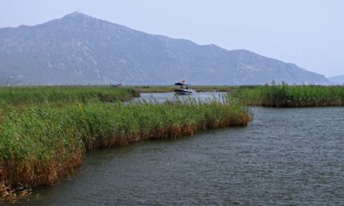 Zdjecie TURCJA / Azja mniejsza. / Dolina rzeki  Daylan. / Tureckie klimaty