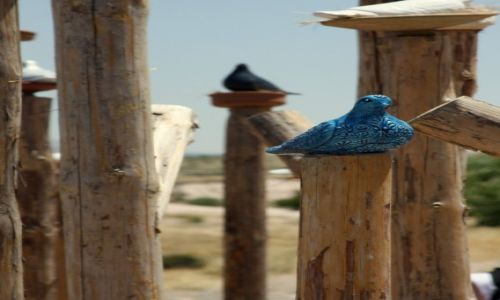 Zdjecie TURCJA / Kapadocja / Goreme National Park / Pigeon Valley