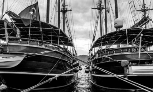 Zdjecie TURCJA / Turcja Egejska  / Marmaris - marina / aglowce w marinie