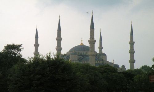 Zdjcie TURCJA / Stambu / miasto / Bkitny Meczet