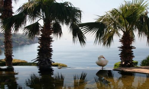 Zdjcie TURCJA / Riwiera Turecka / Antalya / Kaczusia