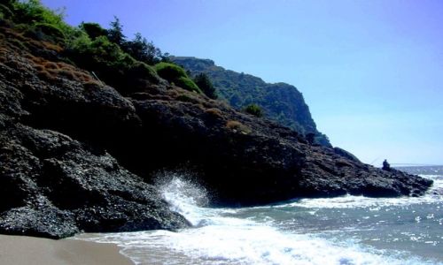 Zdjecie TURCJA / Riwiera Turecka / Alanya / Samotny wdkarz