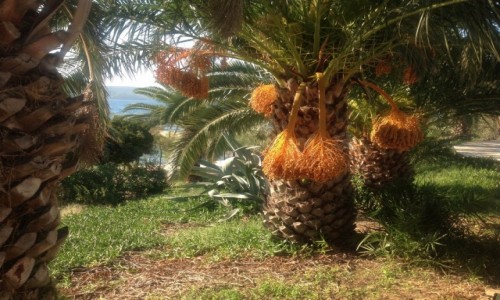 Zdjecie TURCJA / Bodrum /  Bodrum / :)