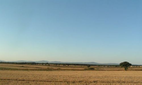 Zdjecie TURCJA / Gry Stranda / Kirklareli / Przestrze