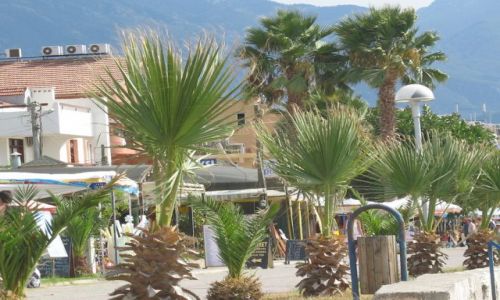 Zdjęcie TURCJA / brak /  Fethyie / Turcja