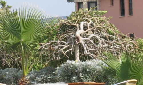 Zdjęcie TURCJA / brak /  Fethyie / Fethyie