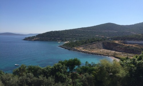 Zdjcie TURCJA / Bodrum / Torba / Wakacyjne pejzae - Bodrum