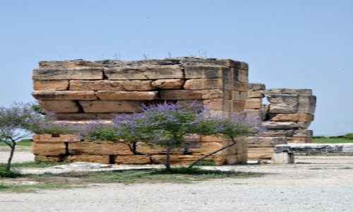 Zdjecie TURCJA / Pamukkale / Bodrum / Samotna ruina - pikna