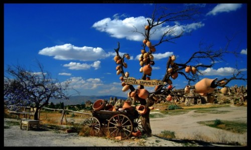 Zdjecie TURCJA / Cappadocia / Goreme / Lucky tree