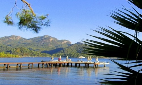 Zdjcie TURCJA / Wybrzee Egejskie / okolice Marmaris / Na pomocie