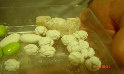 Zdjecie TURCJA / brak / Marmaris / sodycze