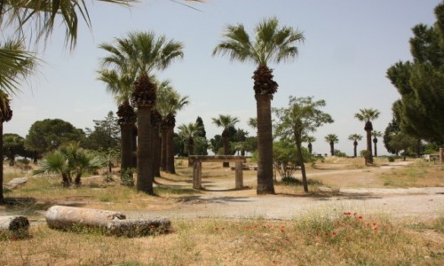 Zdjcie TURCJA / Anatolia / Hierapolis / Hierapolis 4