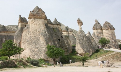 Zdjcie TURCJA / Kapadocja / Kapadocja / Kapadocja 2