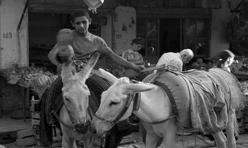Zdjęcie TURCJA / brak / Mardin / na targu