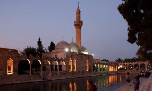 Zdjecie TURCJA / pd.-wsch. Anatolia / Sanliurfa / Staw Abrahama i meczet Rizvaniye