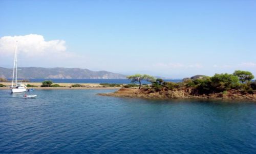 Zdjęcie TURCJA / Turcja Egejska / Fethiye / wyspa zatoki Gocek