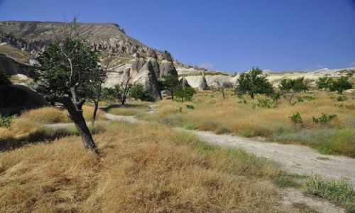 Zdjęcie TURCJA / kapadocja / Turcja / kapadocja
