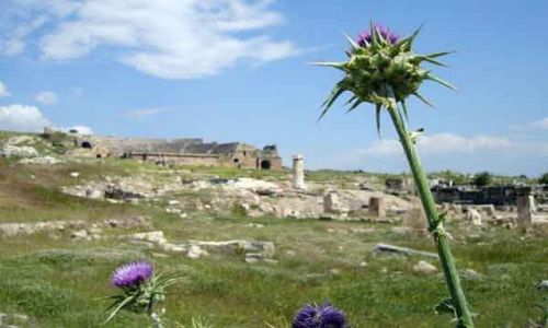 Zdjęcie TURCJA / brak / Hierapolis - Pamukkale / Teatr rzymski