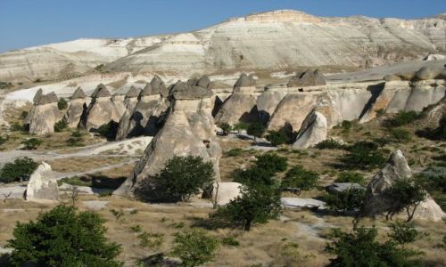 Zdjecie TURCJA / Kapadocja / Kapadocja / grzybobranie
