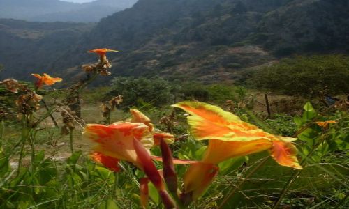 Zdjcie TURCJA / zachodnia cz wybrzea Morza rdziemnego / Dolina Motyli / Dolina Motyli... niedaleko Oludeniz, Oludeniz niedaleko Fethiye
