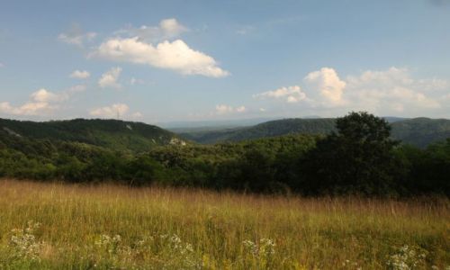 Zdjęcie TURCJA / -tam.... / ówdzie....ale to głupie (!) / gdzieś tam....oczywiście i ówdzie....