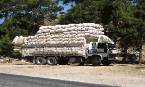 Zdjecie TURCJA / - / Bodrum / transport