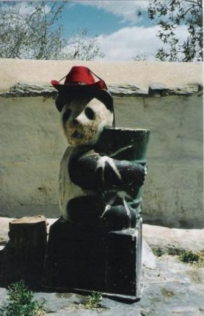 Zdjęcia: Lhasa, Panda z Tybetu, TYBET Zdjęcia: Lhasa, Panda z Tybetu, TYBET